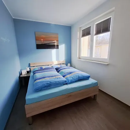 Kuestenwald - Igel Und